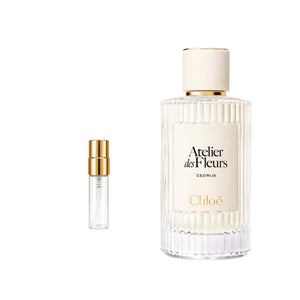 Chloe Cedrus 3 ml