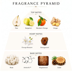 Blue Talisman fragrance notes