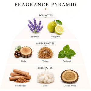 Rehab fragrance notes