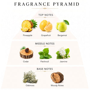 Hacivat fragrance notes
